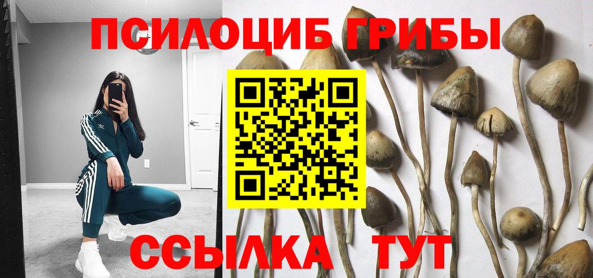 цена наркотик  Галлюциногенные грибы GOLDEN TEACHER  Вход с VPN  Лосино-Петровский 